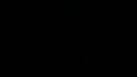 How to pronounce president