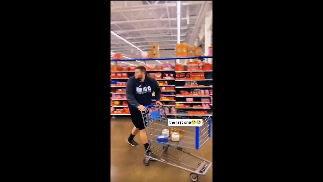 funny videos