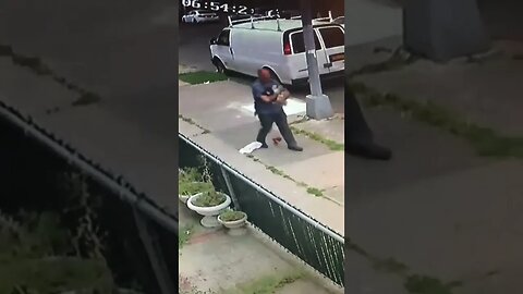 Cat attacks person walking his dog.