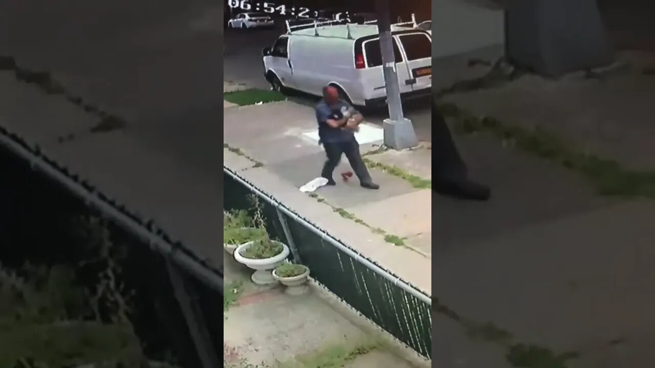 Cat attacks person walking his dog.
