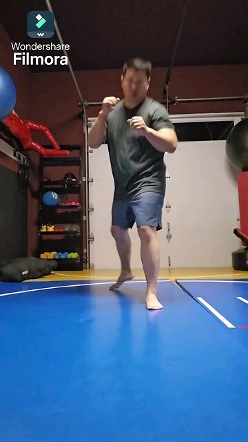 WTD Reverse Front Kick