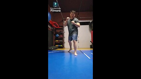 WTD Reverse Front Kick