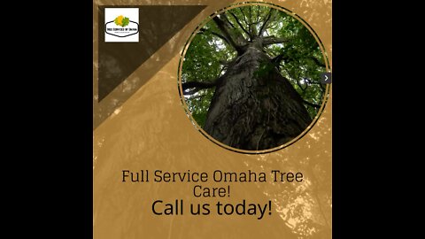 Tree Services of Omaha