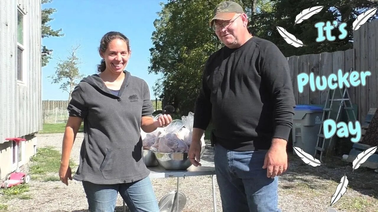 It's Time !! Processing our Barred Rock Roosters