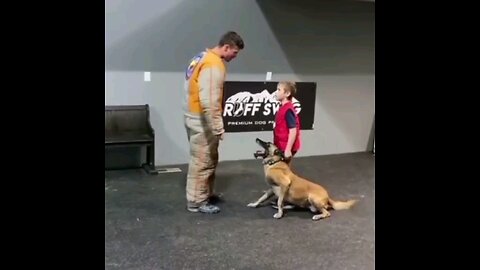 Trained security dog