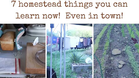 7 ways to live like a HOMESTEADER NOW! Even in the middle of town.