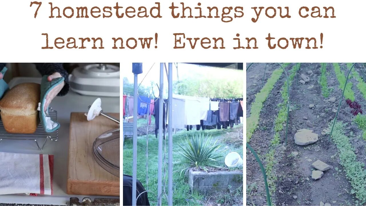 7 ways to live like a HOMESTEADER NOW! Even in the middle of town.