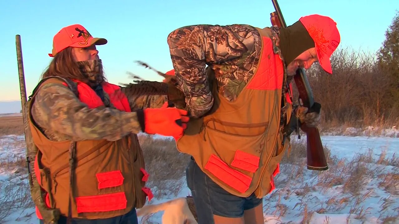 Shelter Belt Pheasant in North Dakota