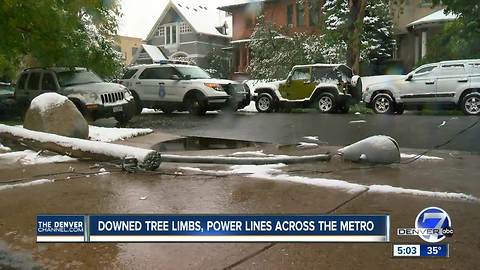 5 things you need to know about removal of downed, broken branches in Denver