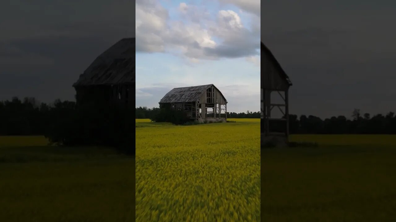 Drone Flight Of A Barn In A Canola Field At Sunset