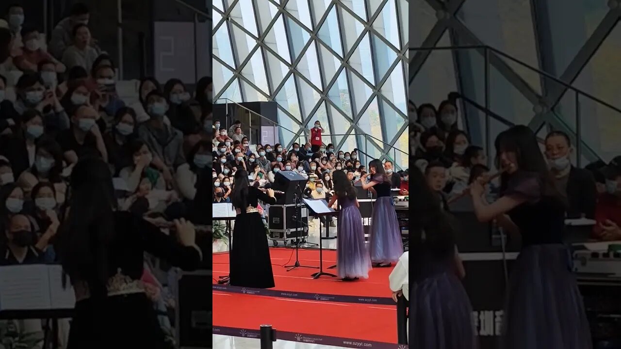 Fantastic flute concert