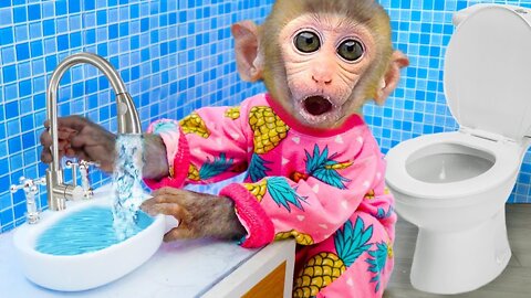 Animal home monkey baby bibon funny in the toilet || and Cate | Funny Animal Videos