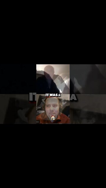 Thriving South Brooklyn Neighborhood A Hotbed of Action and Harmony