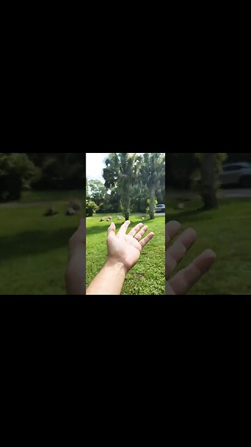 Just Windy No Hurricane 🌀