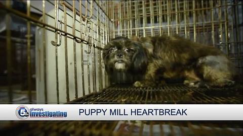 USDA refuses to share names of Ohio puppy mill offenders