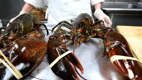 New York Food - GIANT FRIED LOBSTERS WITH EGGS Park Asia Brooklyn NYC