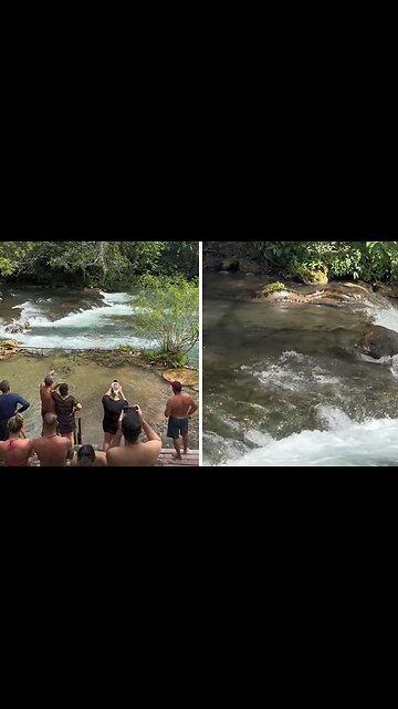 This is the biggest anaconda you have ever seen!