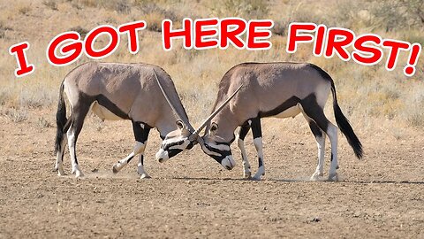 The "I Got Here First" Argument