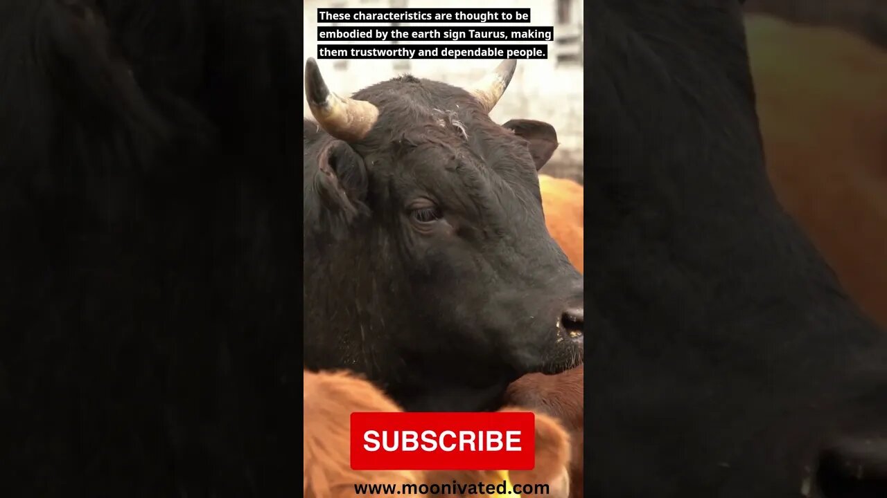 [Astrological Facts] Taurus, What Element is Taurus?