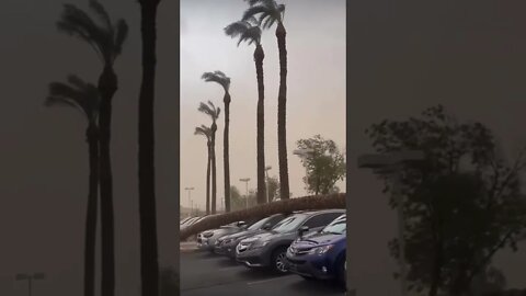 Oh no 🙈 #shorts #cars #trendingshorts #viralshorts #saintpee #youtubeshort