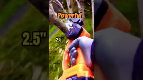 Most Popular and Trending videos(2)