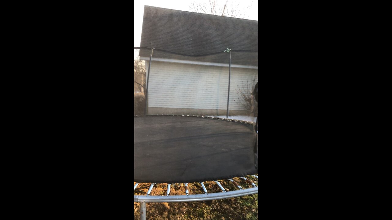 Trampoline gymnastics