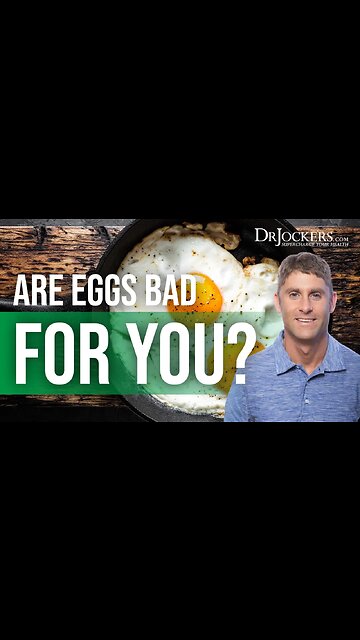 Are EGGS BAD For You? 🥚😈 (DOCTOR REVEALS The Truth) #shorts