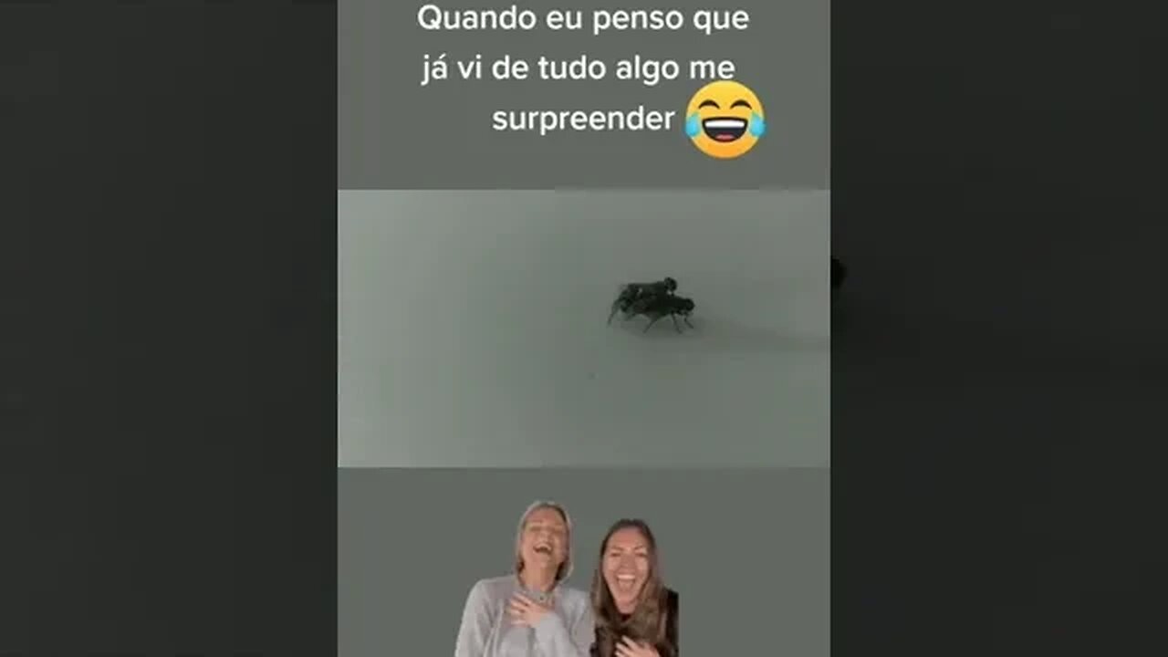 Quando eu penso que já vi de tudo algo me surpreende