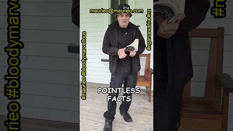 maurieo #shorts POINTLESS FACT ONE