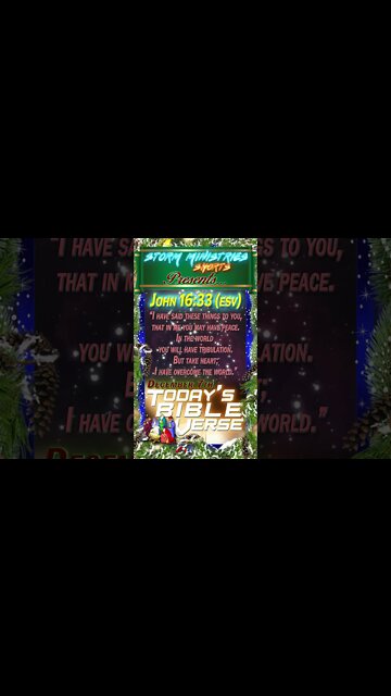 12.07.2022 | STORM MINISTRIES | Daily Bible Verse | JOHN 16:33 (ESV) | #shorts