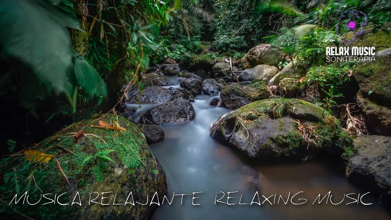 Sonidos del Bosque - RELAJANTE- Sonidos de la Naturaleza para Relajarse, Calmar la mente 🧘‍♀️