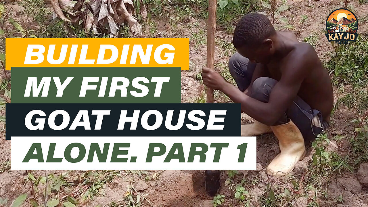 Building My First Goat House Alone Part 1 | ep4 #goatfarming #goats