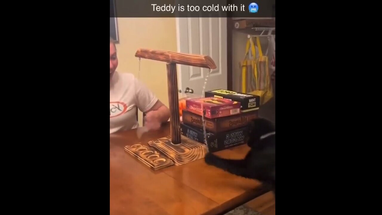 Teddy is too cold with it