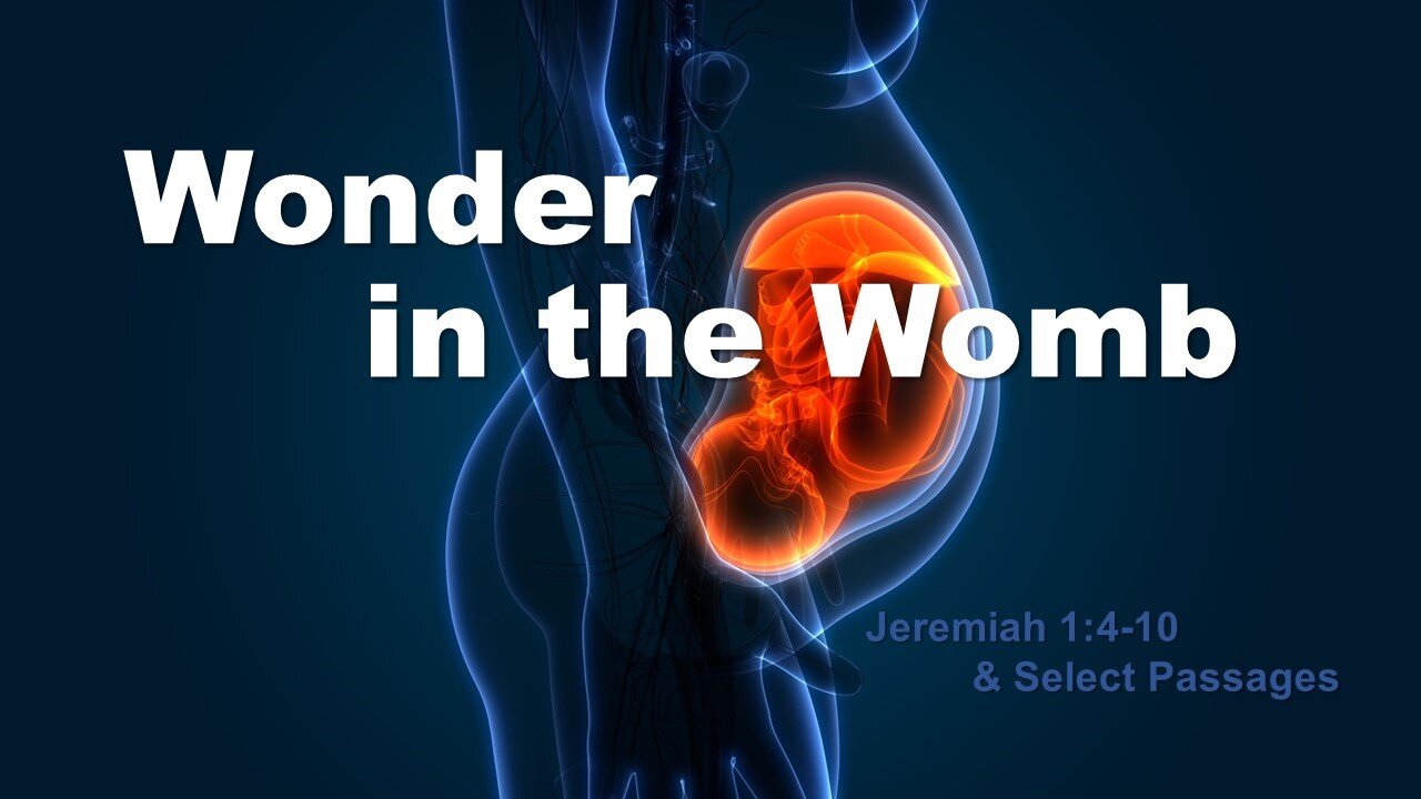 Wonder in the Womb - Jeremiah 1 4-10