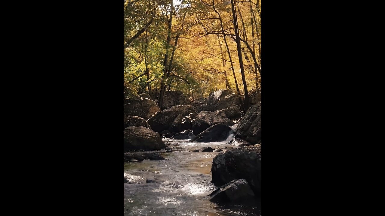 Amazing Rocky river sound | forest Relaxation