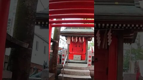 A Japan that no one knows A maiden playing the shamisen Shimotani Shrine #shorts