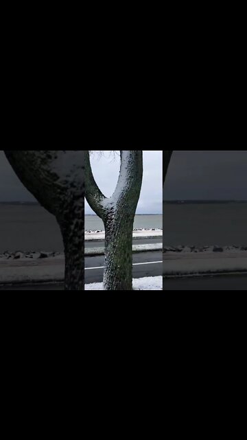 Beautiful Winters in Canada