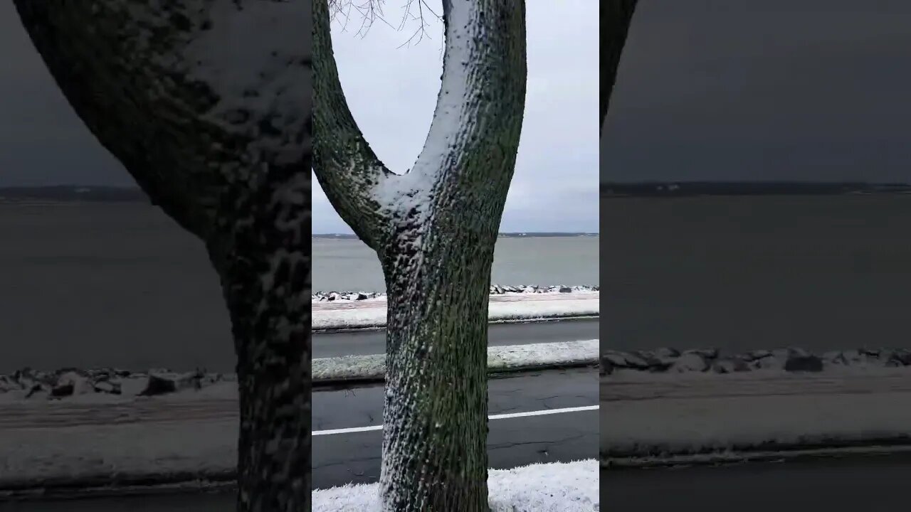 Beautiful Winters in Canada