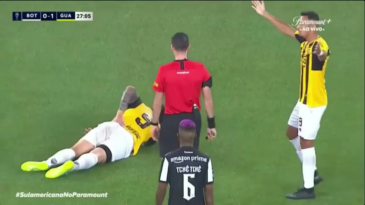 Botafogo 2 x 1 Guarani PR / Gols e Melhores Momentos - Sul Americana 2023