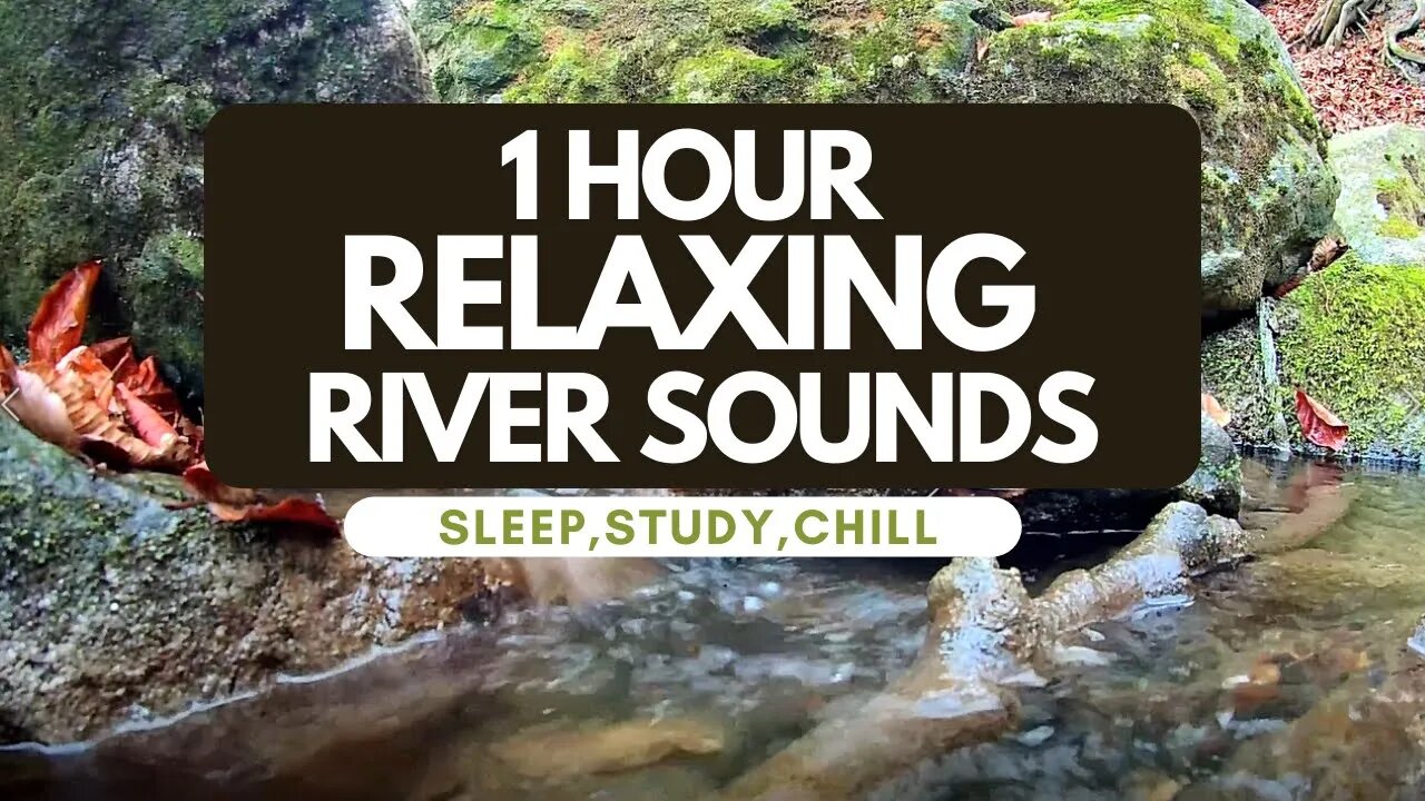RELAXING RIVER SOUNDS 1 HOUR - THE BEST WAY FOR DEEP SLEEPING, STUDY, CHILL