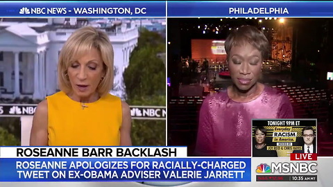 MSNBC Slammed For Bringing Joy Reid on Air to Talk About Roseanne's Controversial Tweet