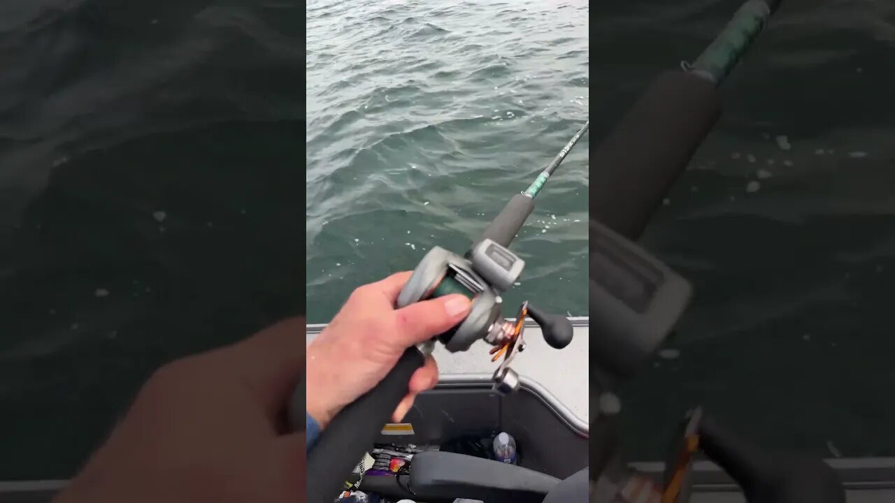 bottom bouncing basics #fishing #fishingmethods