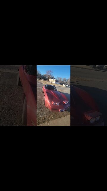 I'm so ready to move to Florida! #florida #escape #loveyourjourney #kansas #roadtrip