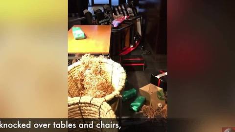 A woman knocked over tables and chairs at Starbucks after employees wouldn't give her change