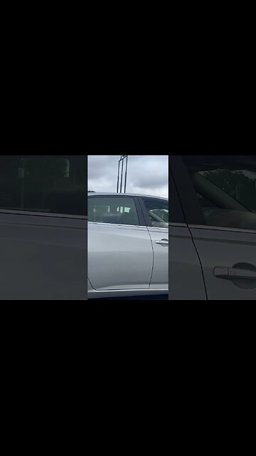 Triggered liberal flips me off on the highway in Tampa