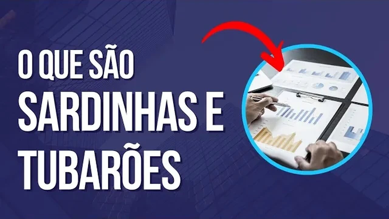 O que são Sardinhas e Tubarões do mercado de ações