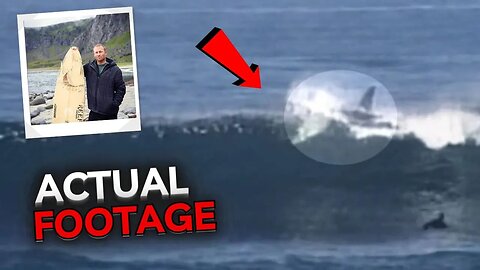 This Man Was Brutally Attacked By TWO Great White Sharks