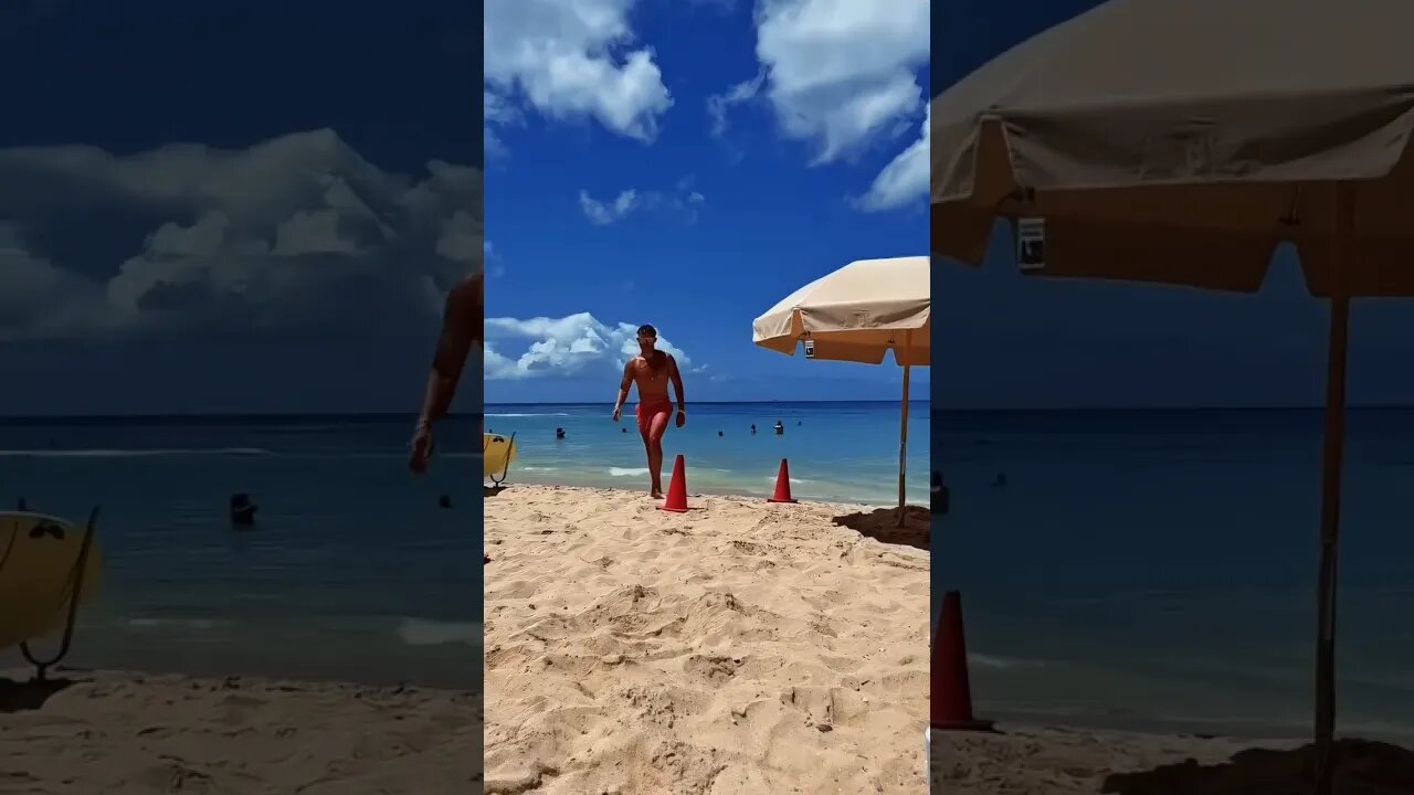 This place was such a vibe!!! Hawaii