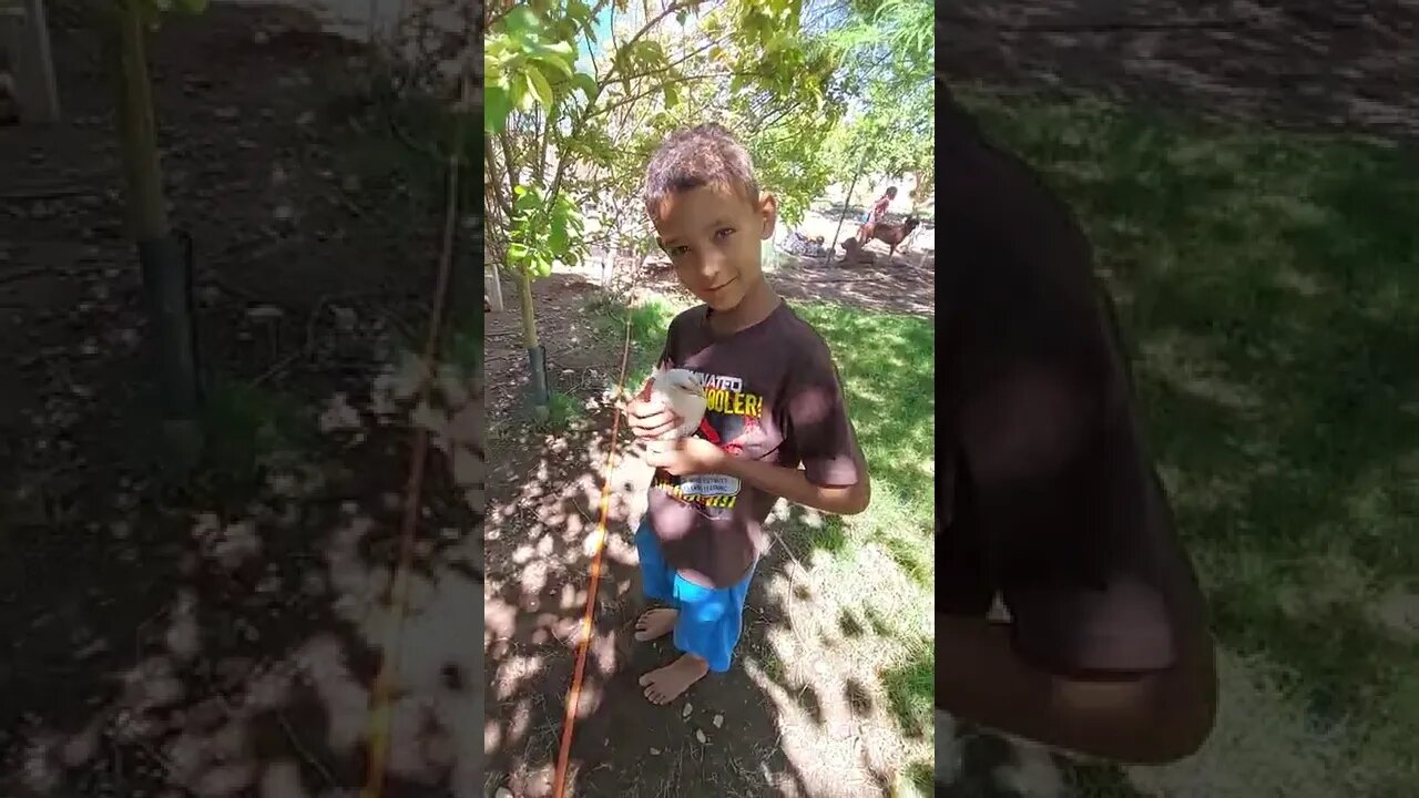 Rambo Family Farm Update Jun 2022.
