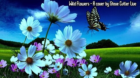 Wild Flowers a cover by steve cutler live 2022